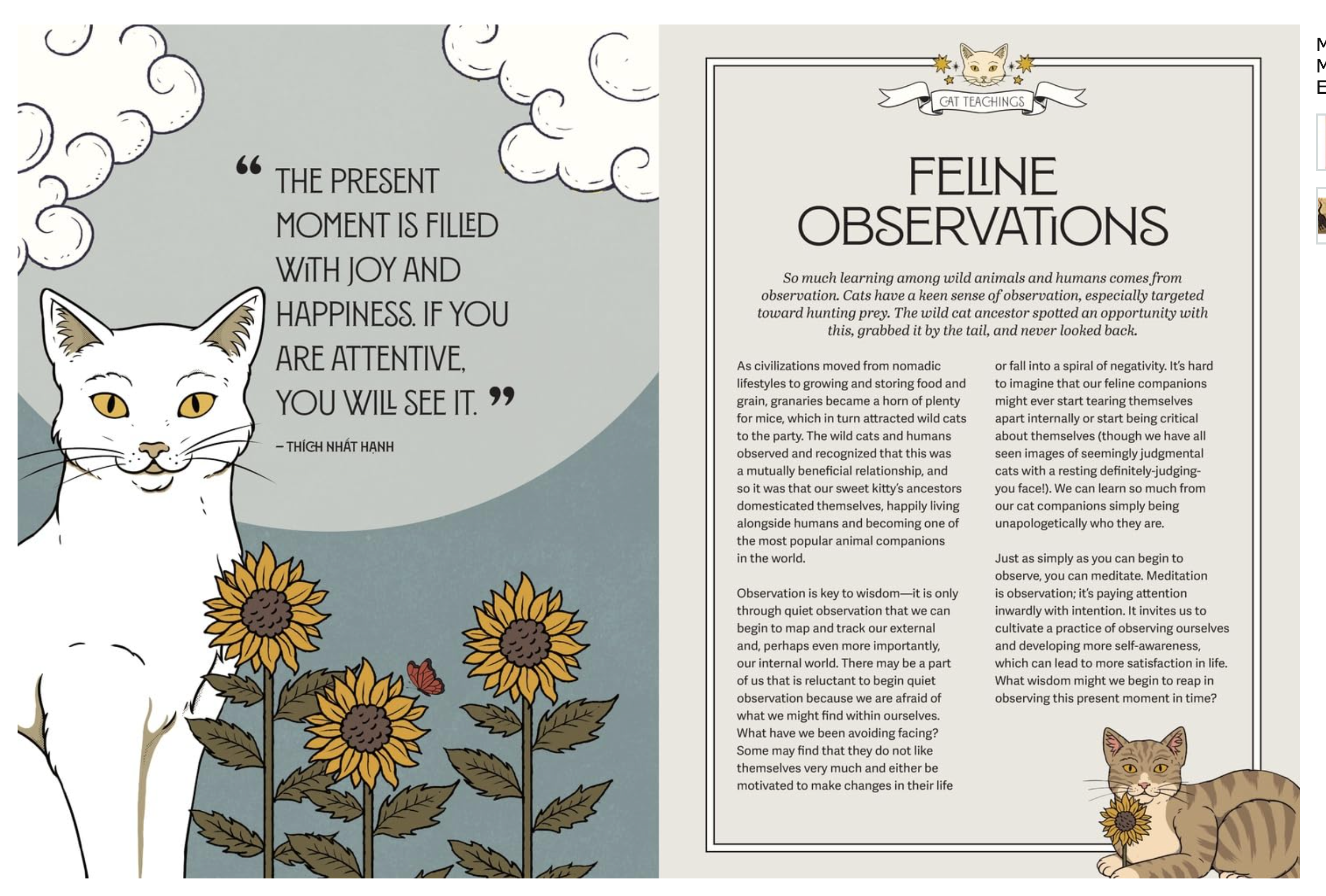 Mystic Kitty: A Cat's Guide to Meditation (Cats Rule the Earth Tarot) - Heart of the Home Inc