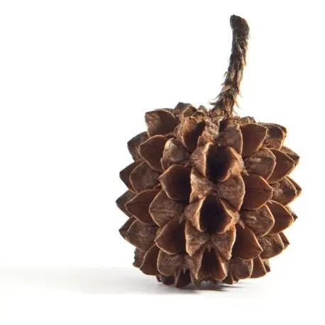 Pinecone Stud Earrings in Patina Silver - Heart of the Home Inc