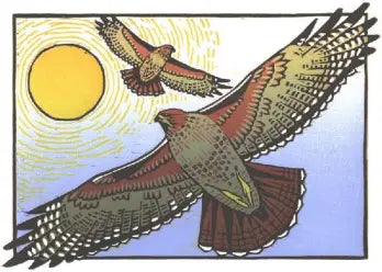 Red Tailed Hawks Card - Heart of the Home LV