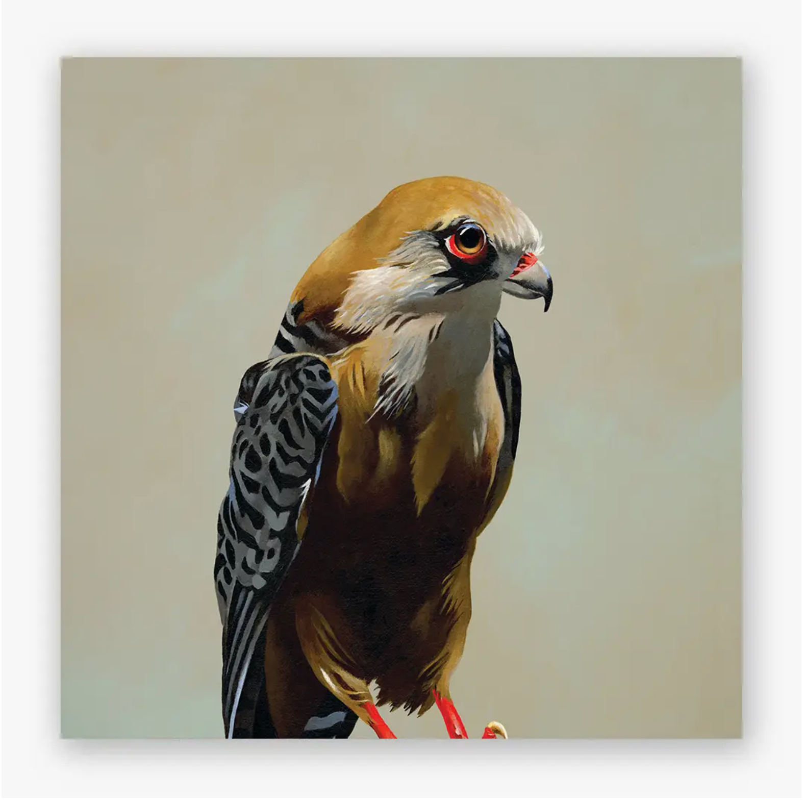 Falcon Wood Wall Art - Heart of the Home LV