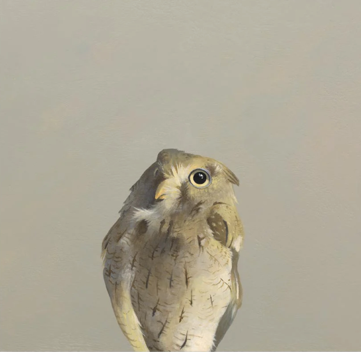 Screech Owl Wall Art - Heart of the Home LV