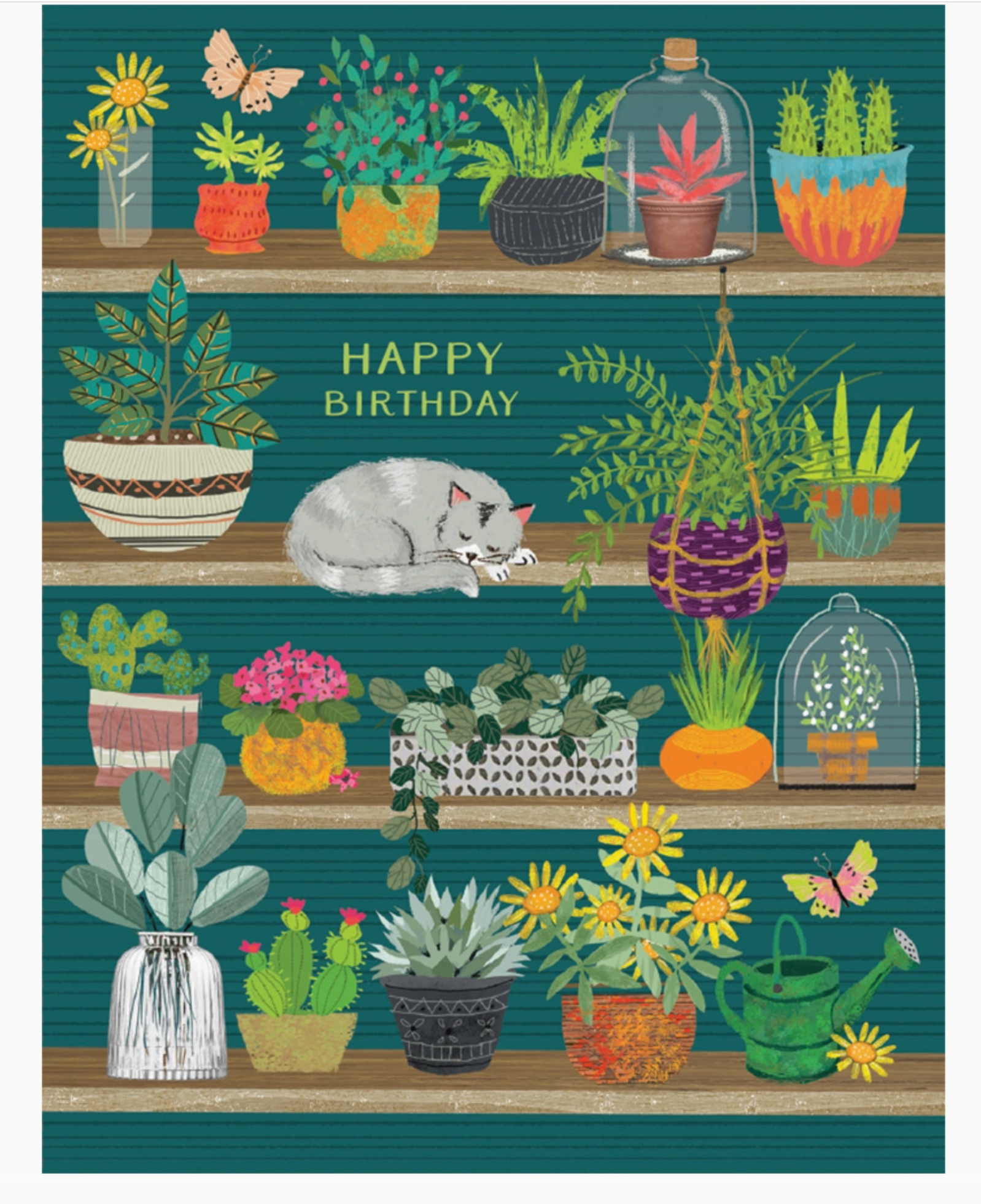 Cat with Plants Birthday Card - Heart of the Home Inc