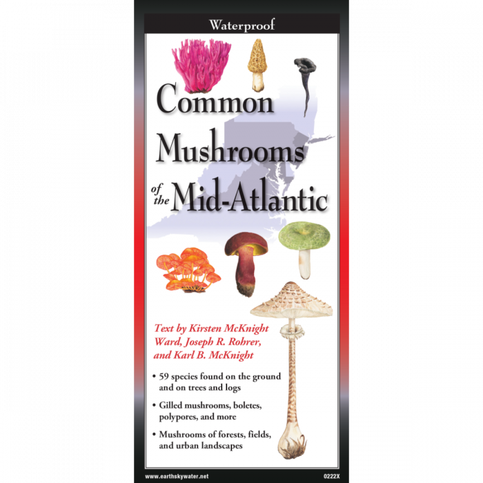 Foldable Guide to Common Mushrooms of the Mid-Atlantic - Heart of the Home LV
