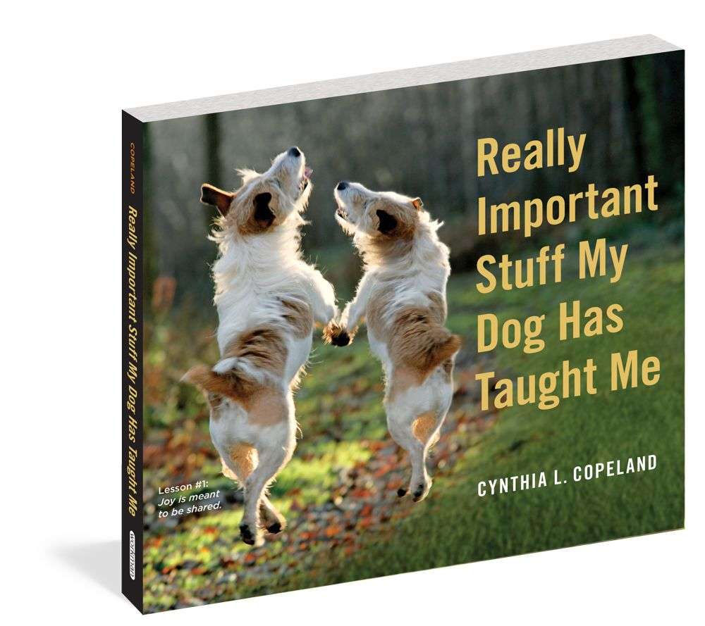 Really Important Stuff My Dog Has Taught Me - Heart of the Home Inc