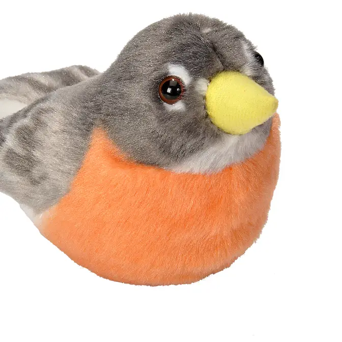 American Robin - Heart of the Home Inc