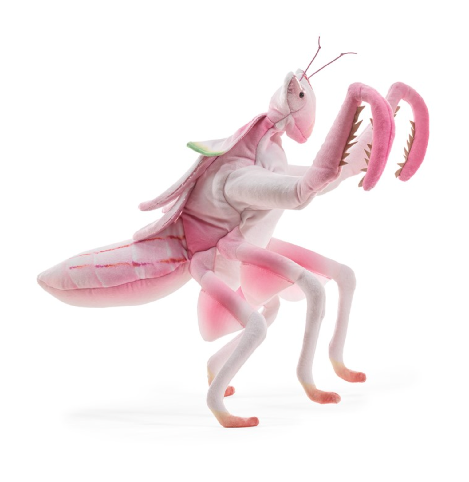 Orchid Mantis Hand Puppet - Heart of the Home Inc
