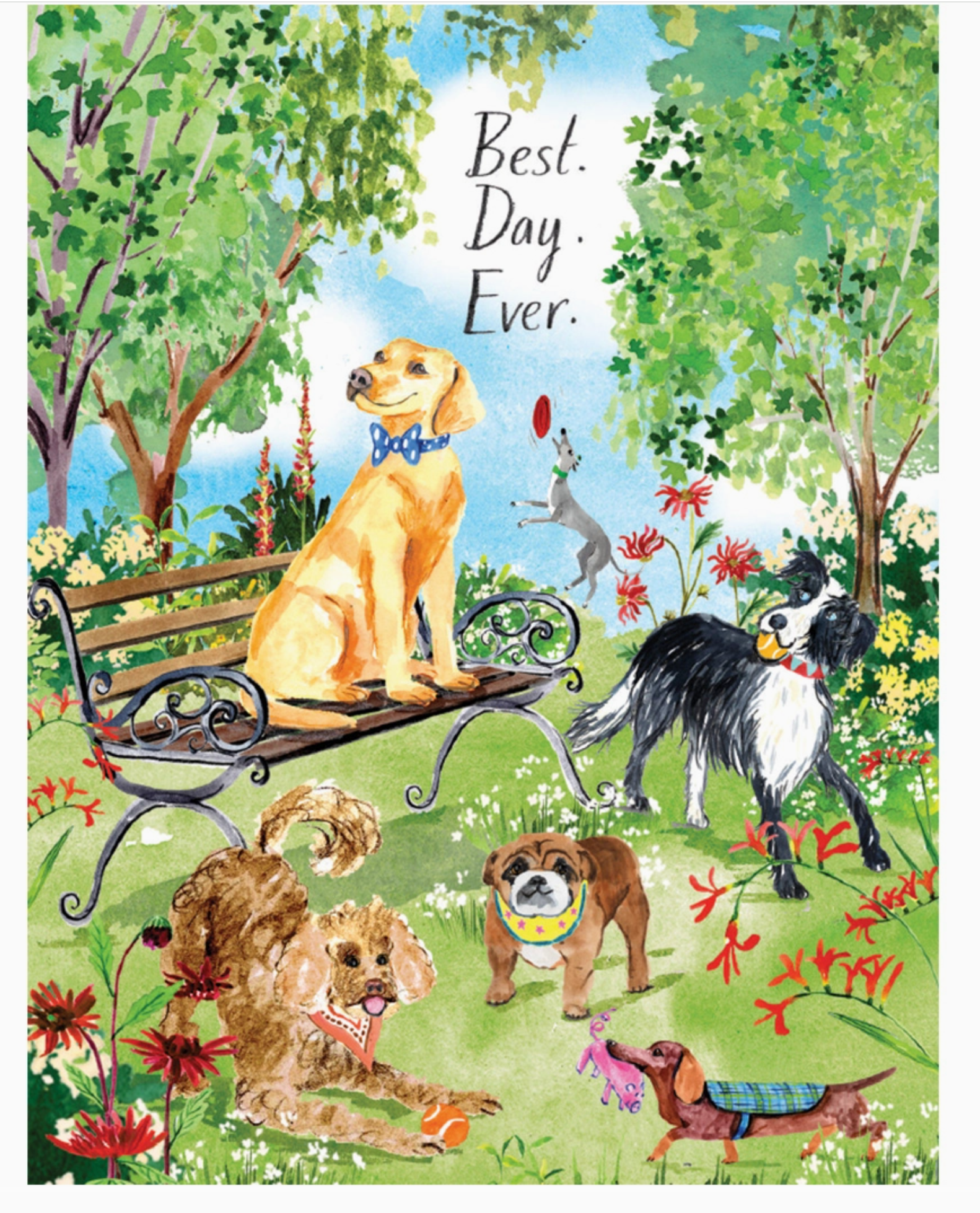 Dog Park Friends Birthday Card - Heart of the Home Inc