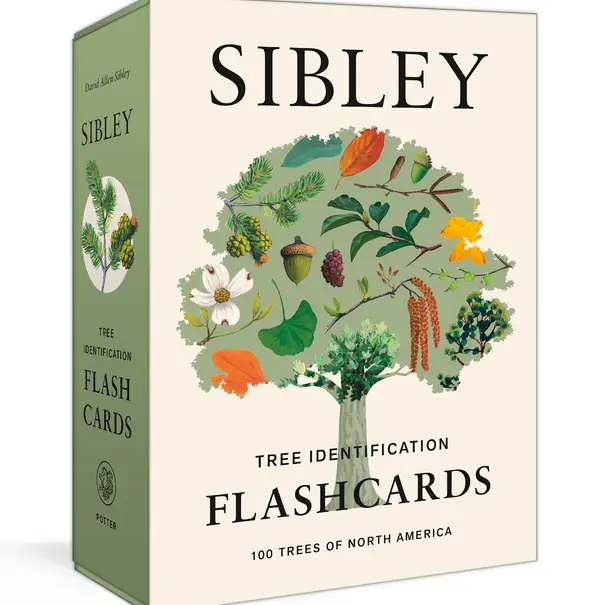 Sibley Tree Identification Flashcards - Heart of the Home Inc