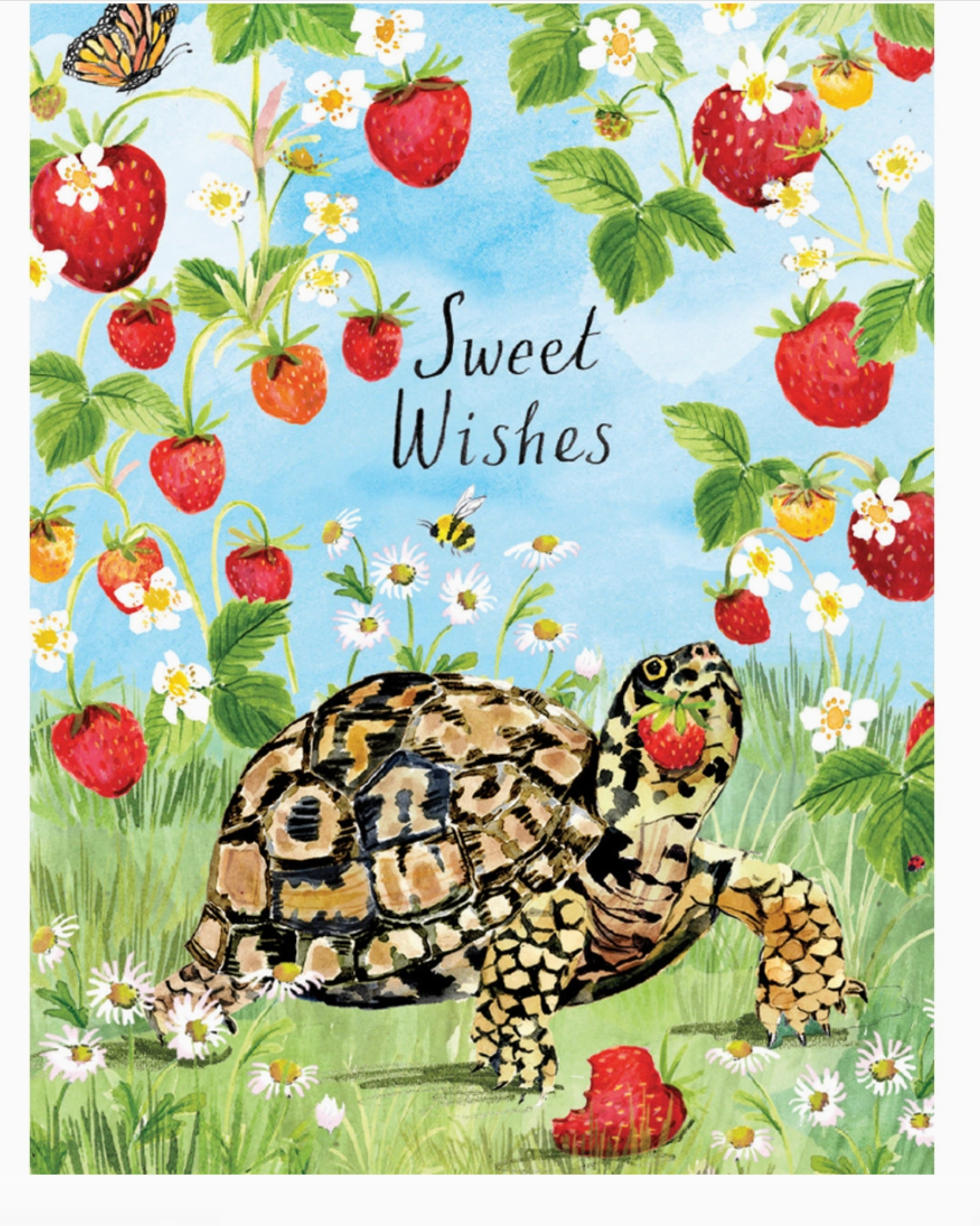 Turtle and Strawberries Birthday Card - Heart of the Home Inc