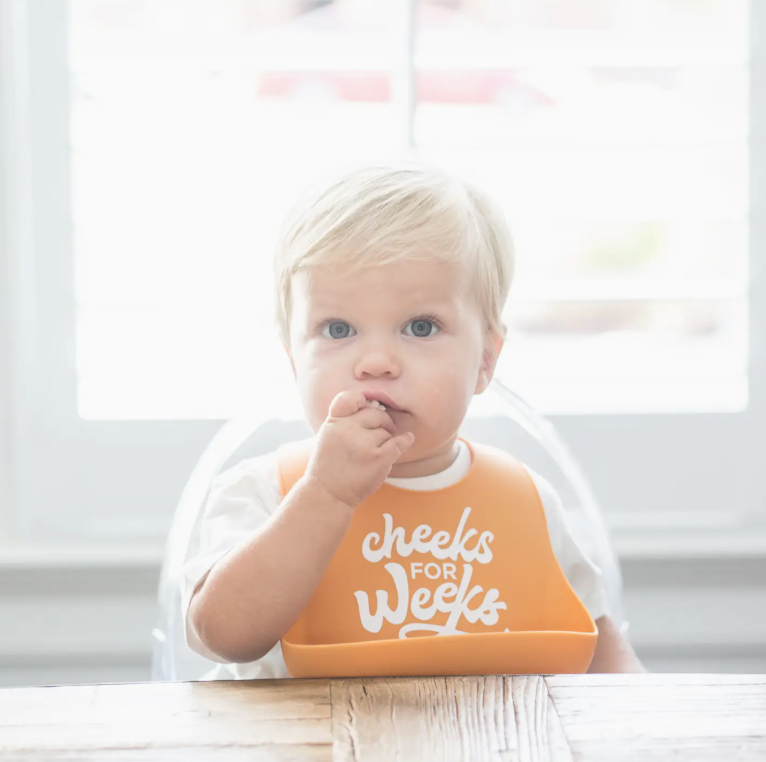 Wonder Bib - Cheeks for Weeks - Heart of the Home Inc
