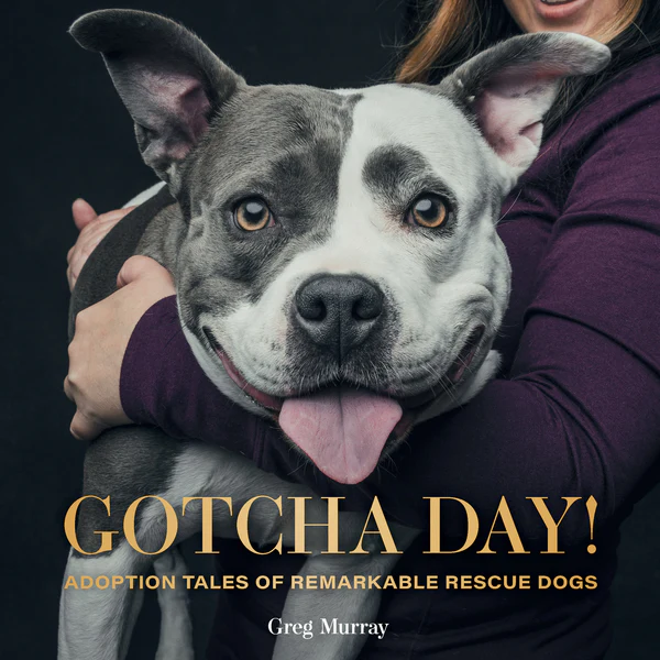 Gotcha Day - Heart of the Home Inc