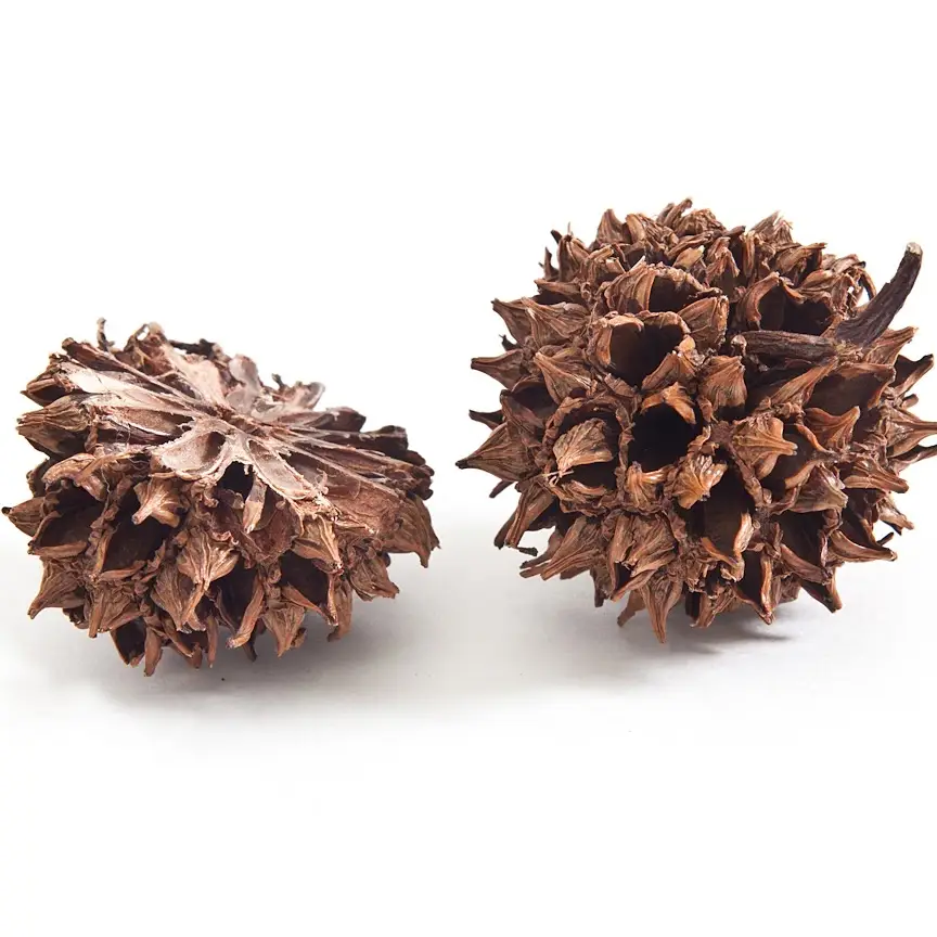 Merzatta E P Sweetgum 3/4" Stud Warm - Heart of the Home Inc