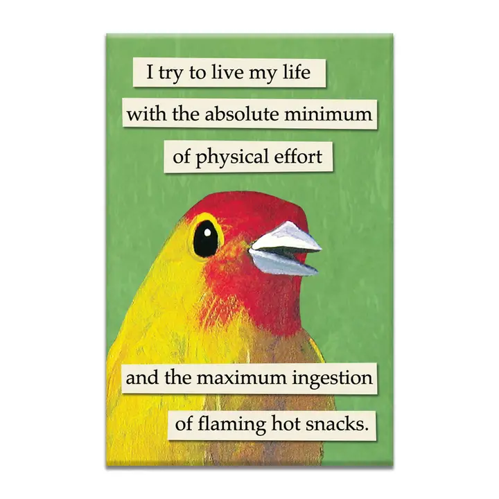 Flaming Hot Snacks Magnet - Heart of the Home Inc