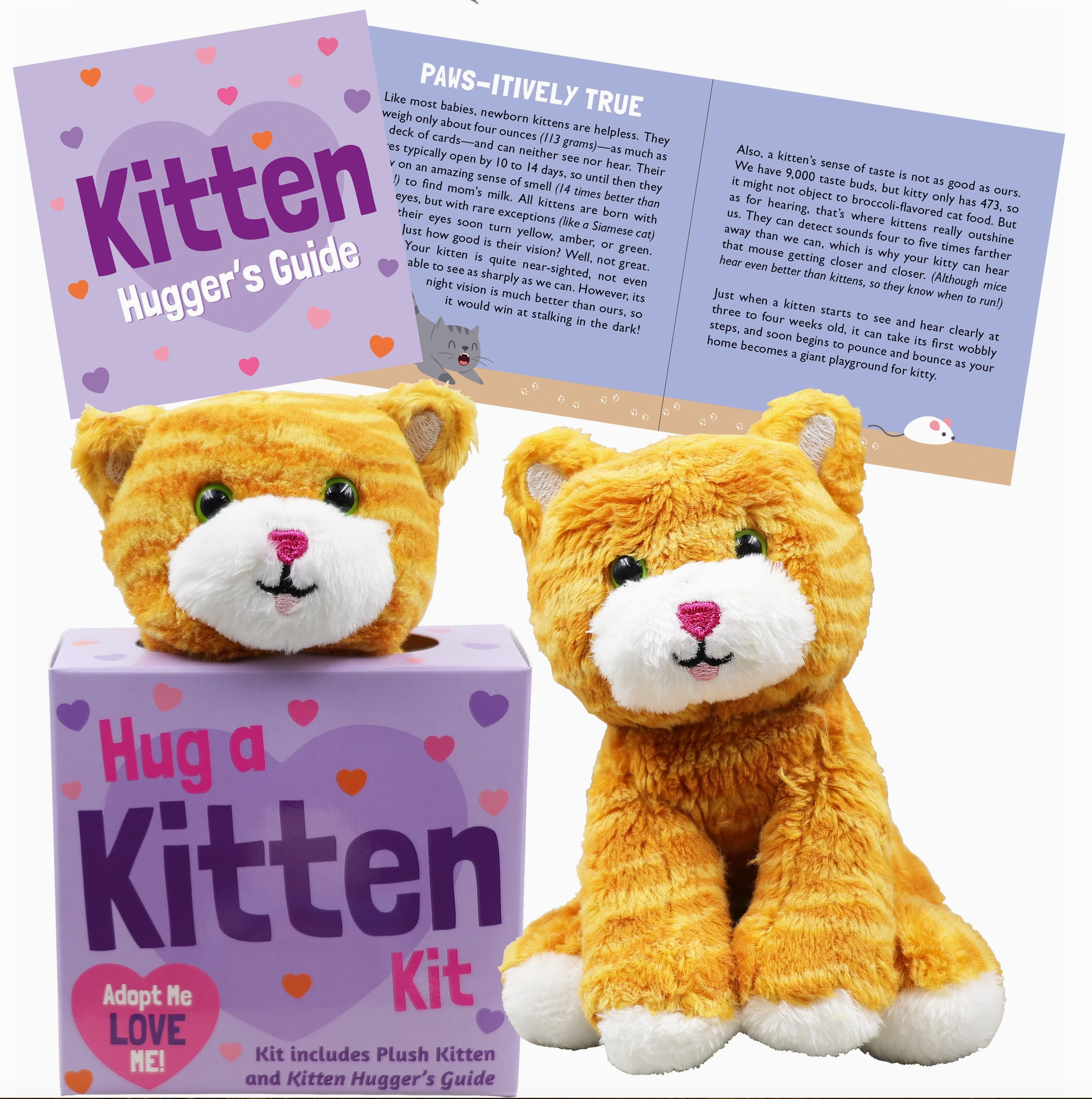 Hug a Kitten Kit - Heart of the Home Inc
