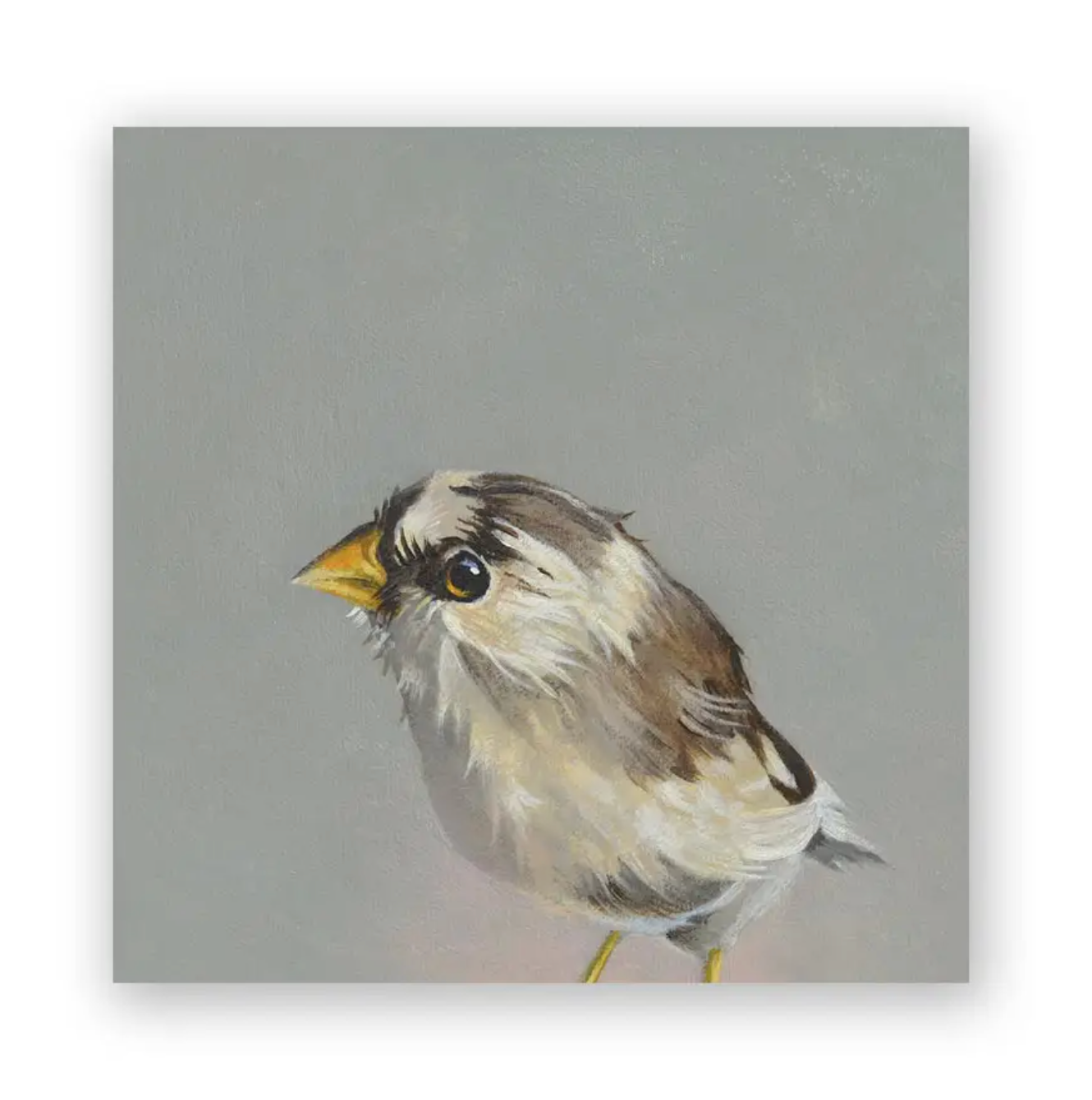 Finch Wood Wall Art - Heart of the Home Inc