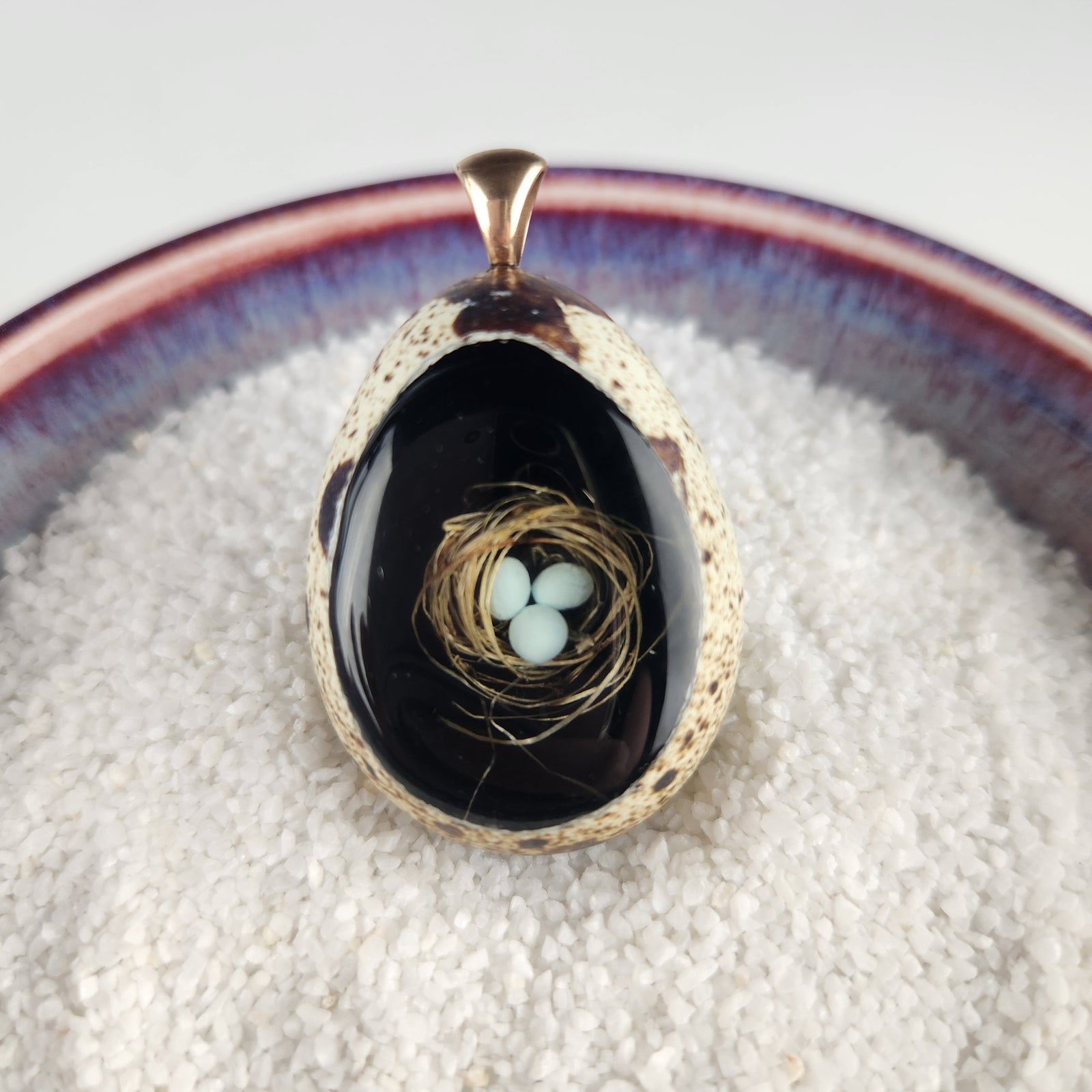 Black with Blue Eggs Quail Egg - Heart of the Home Inc