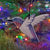 Hummingbird Ceramic Ornament - Heart of the Home LV