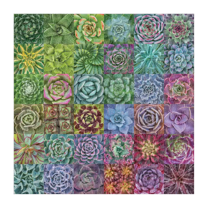 Succulent Spectrum 500pc Puzzle