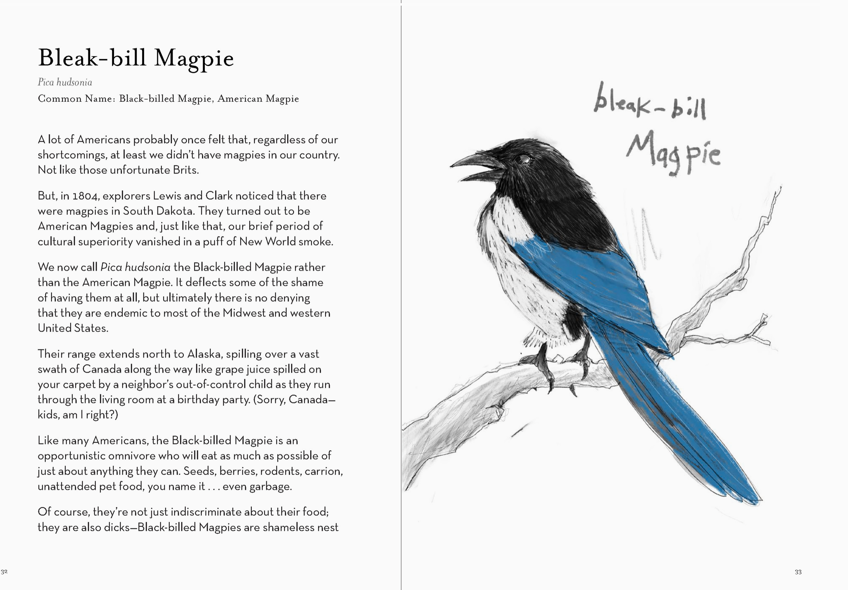 Field Guide to the Worst Birds Ever - Heart of the Home Inc