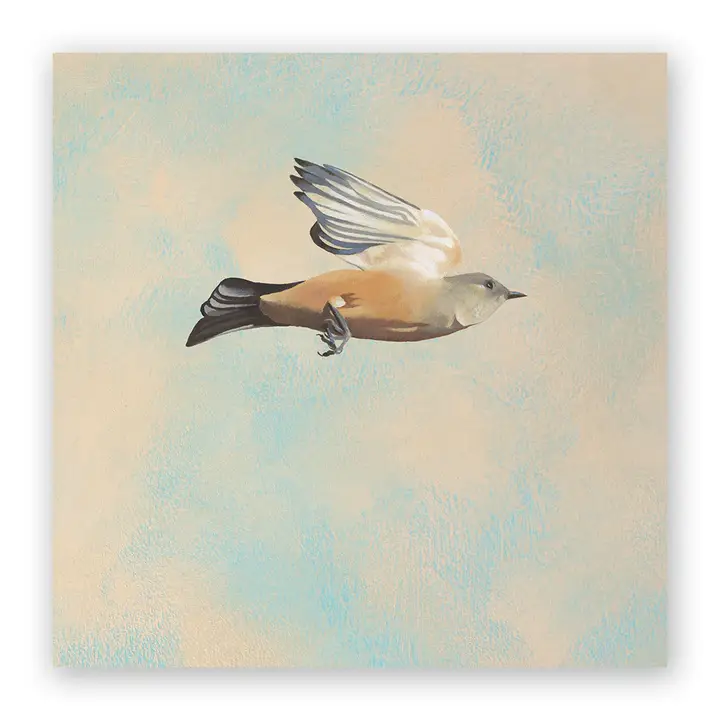 Flycatcher 10x10 Print On Wood - Heart of the Home LV