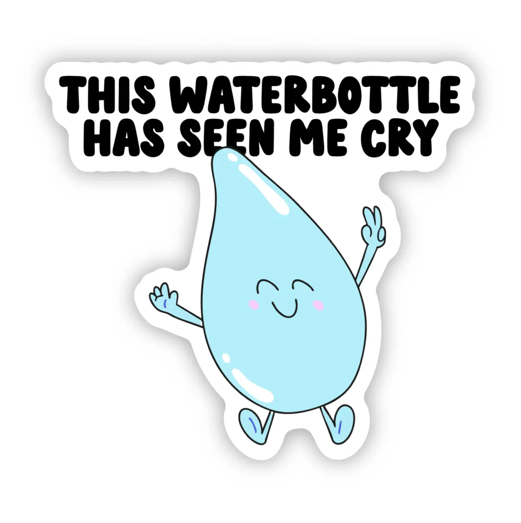 This Water Bottle Has Seen Me Cry Sticker - Heart of the Home Inc