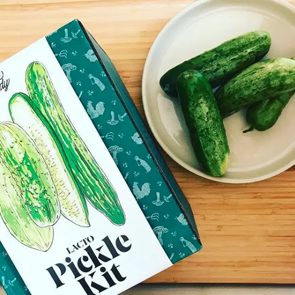 Lacto-Fermented Pickle Making Kit - Heart of the Home Inc