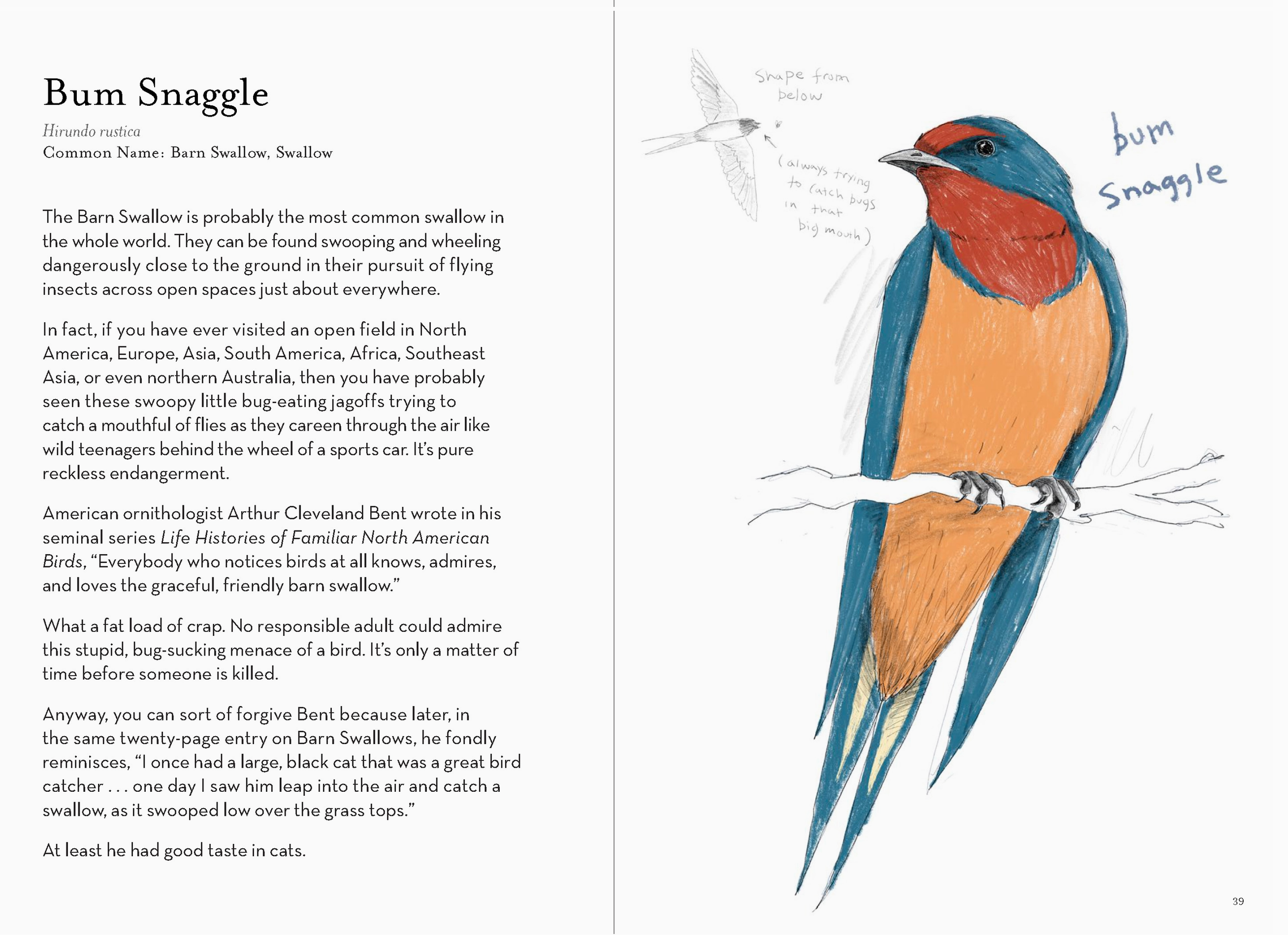 Field Guide to the Worst Birds Ever - Heart of the Home Inc