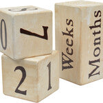 Portrait Props - Heart of the Home LV