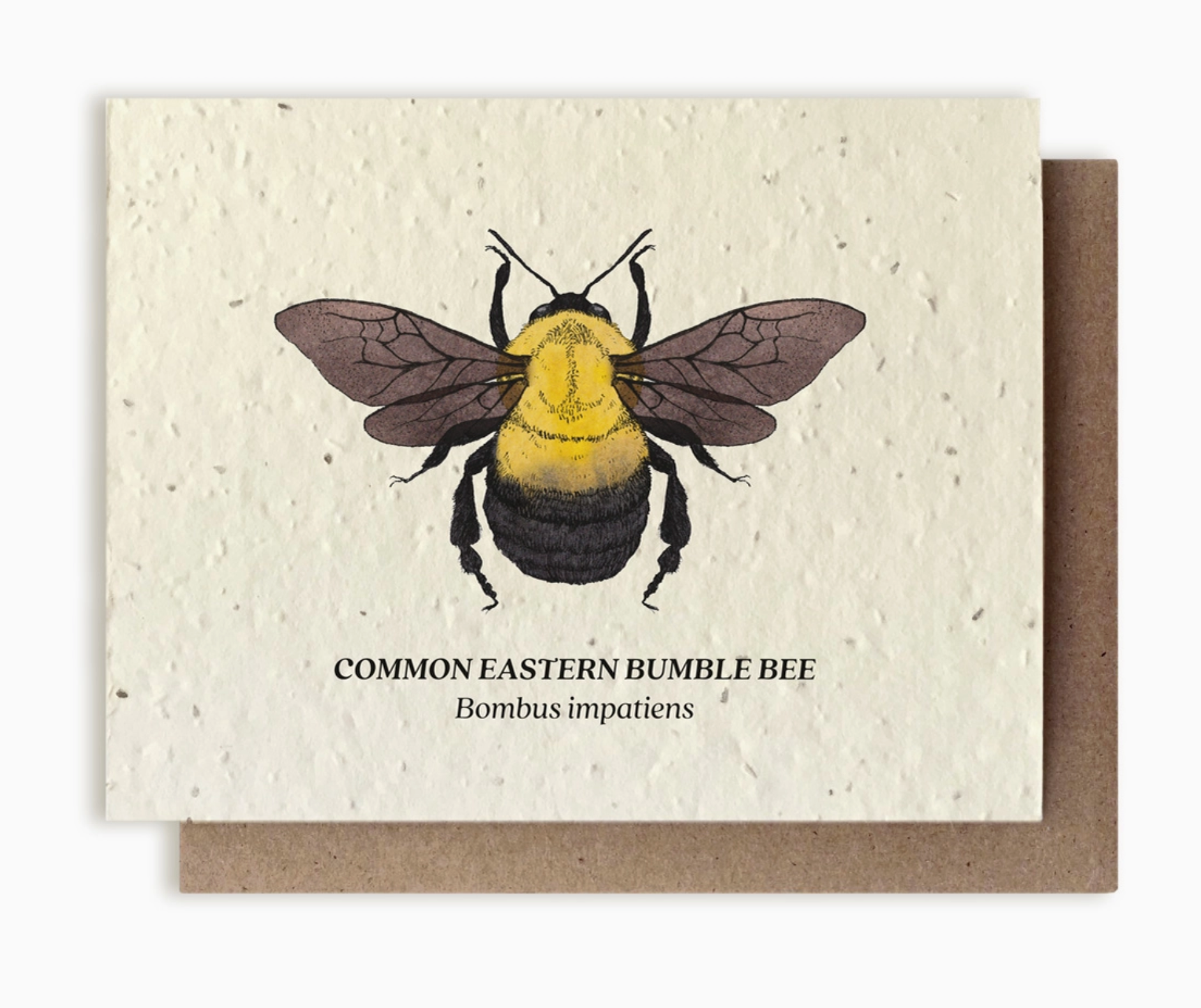 Bumblebee Plantable Card - Heart of the Home LV