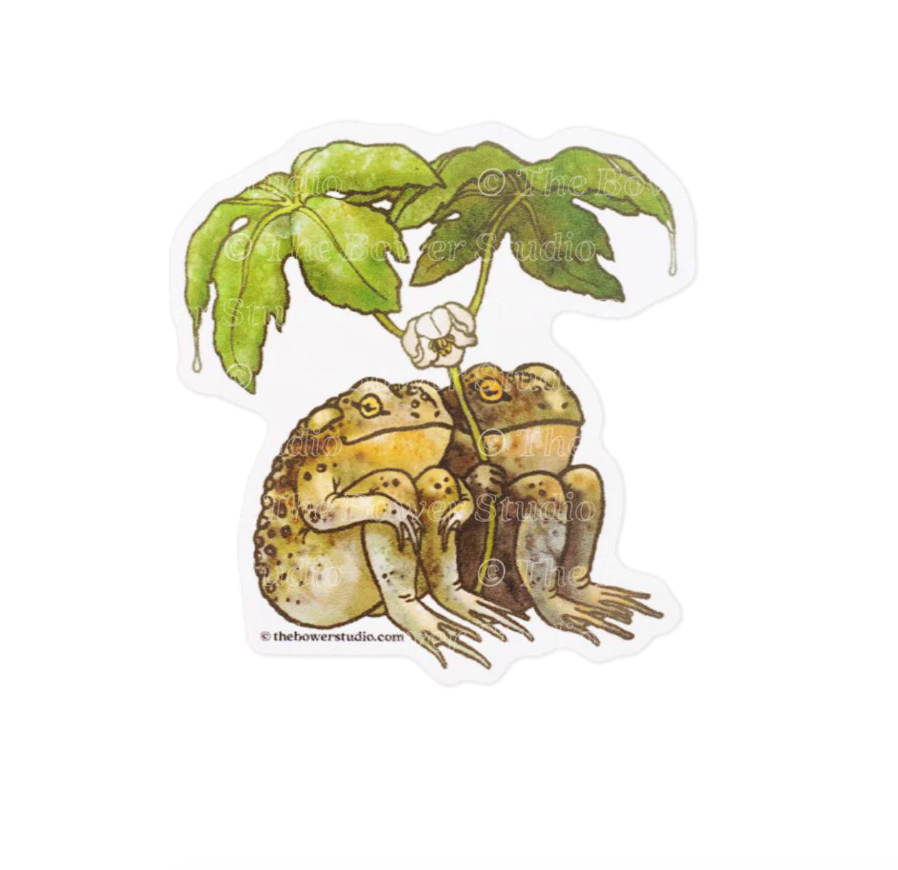 Two Toads Eco-Sticker - Heart of the Home LV