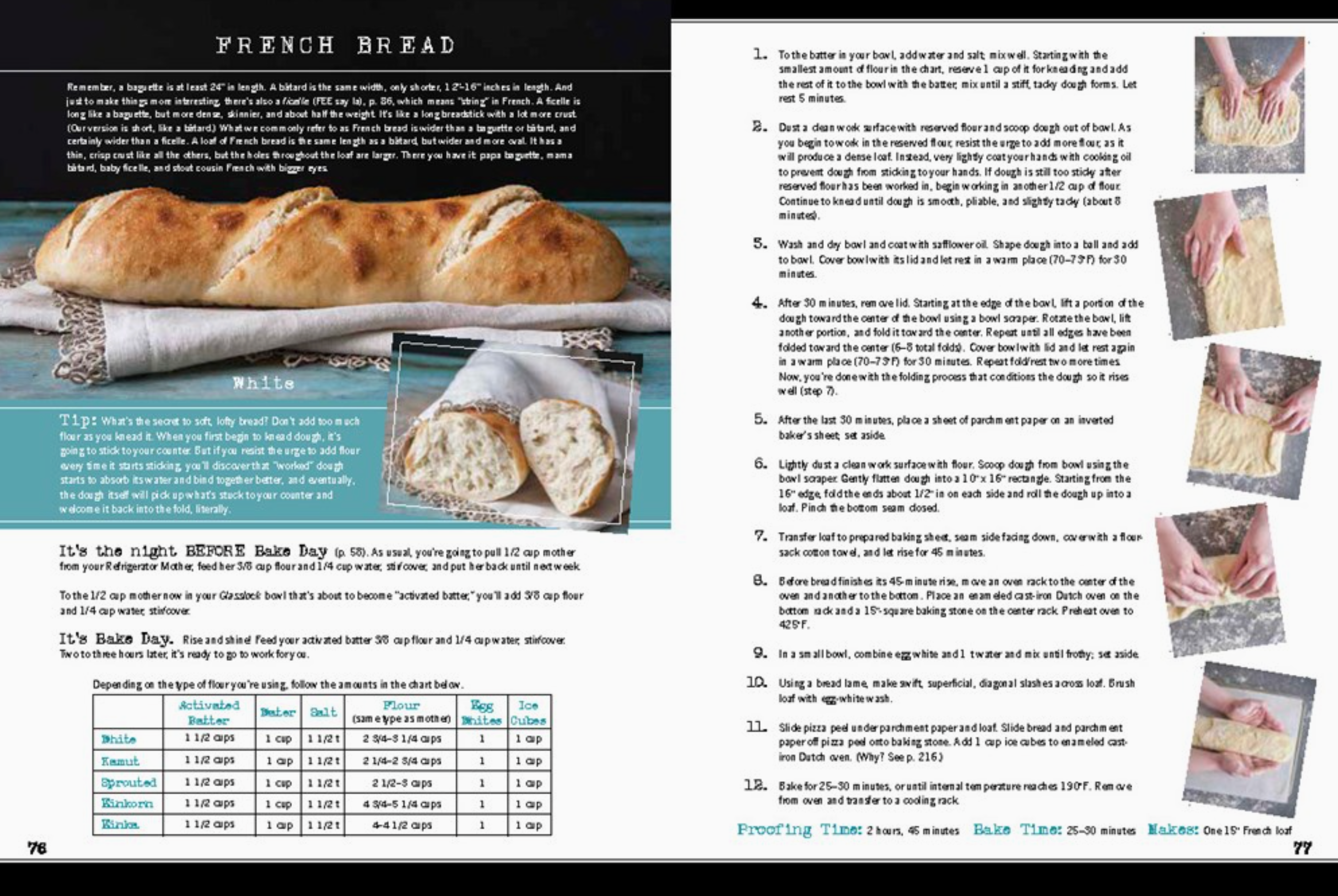 Wild Bread: Sourdough Reinvented Cookbook - Heart of the Home Inc