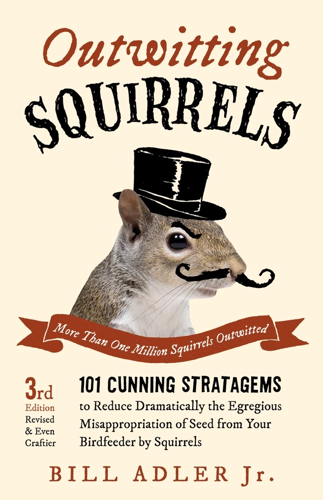 Outwitting Squirrels - Heart of the Home Inc