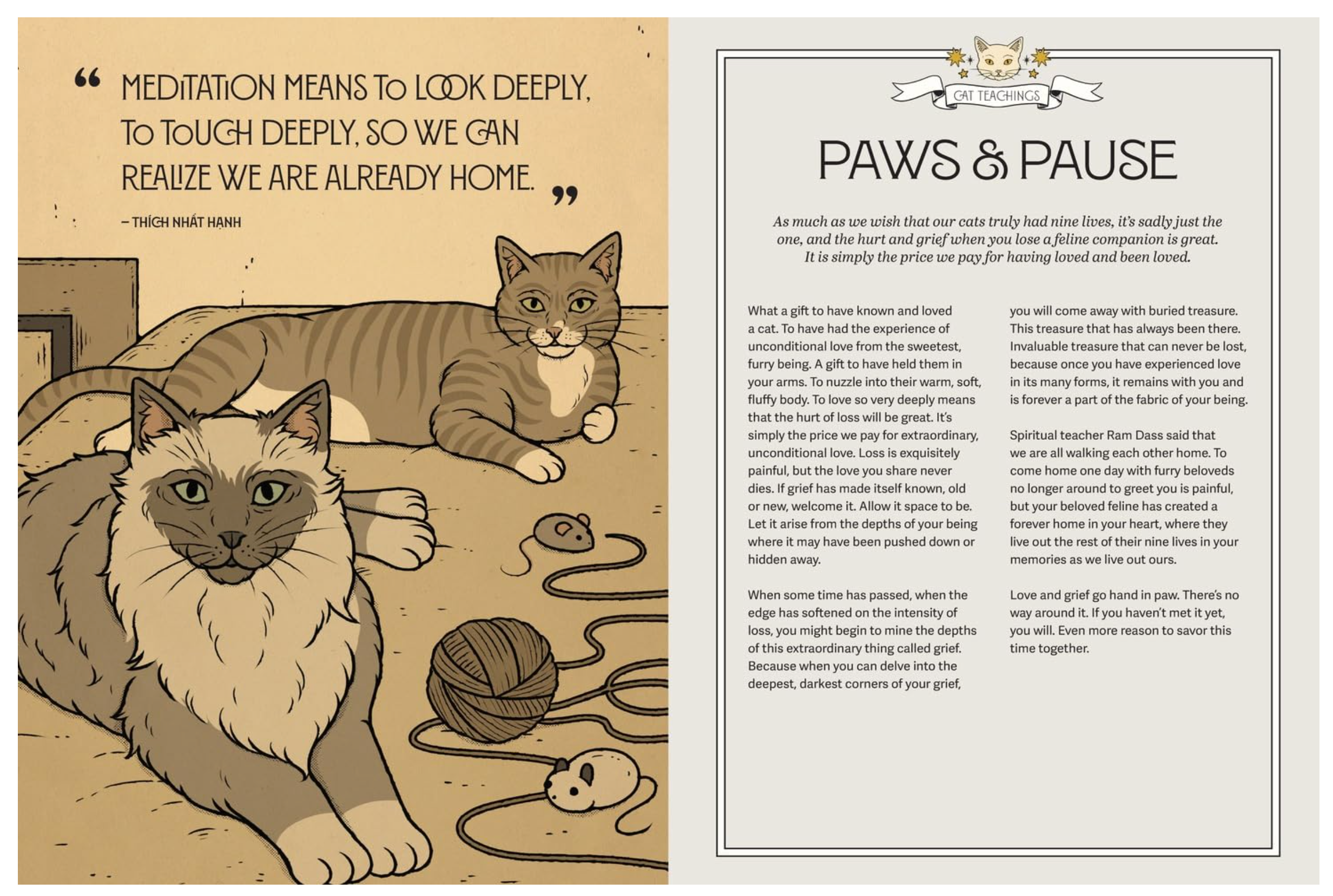 Mystic Kitty: A Cat's Guide to Meditation (Cats Rule the Earth Tarot)