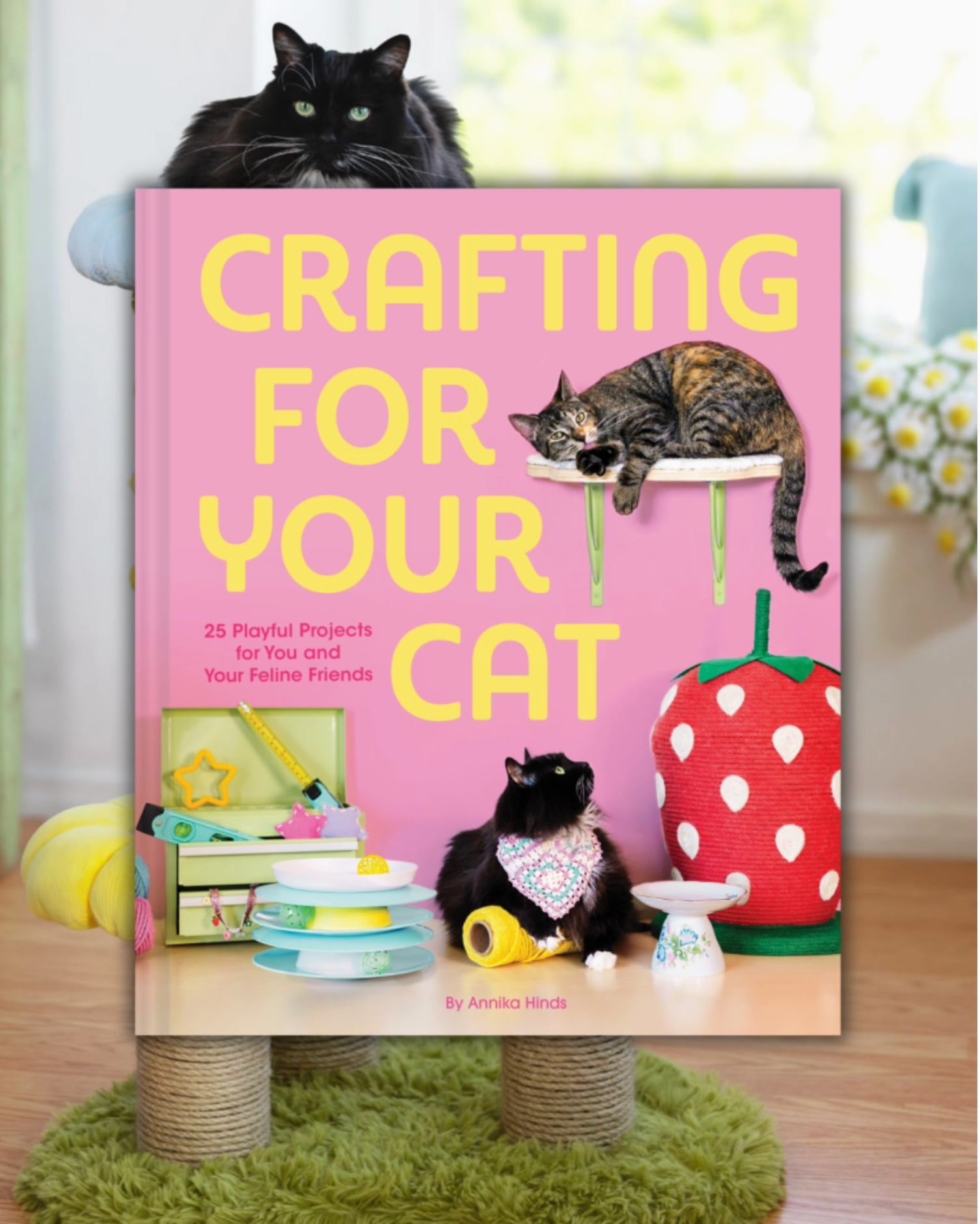 Crafting For Your Cat