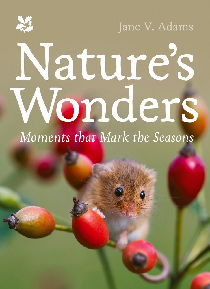 Nature’s Wonders: Moments that Mark the Seasons - Heart of the Home Inc