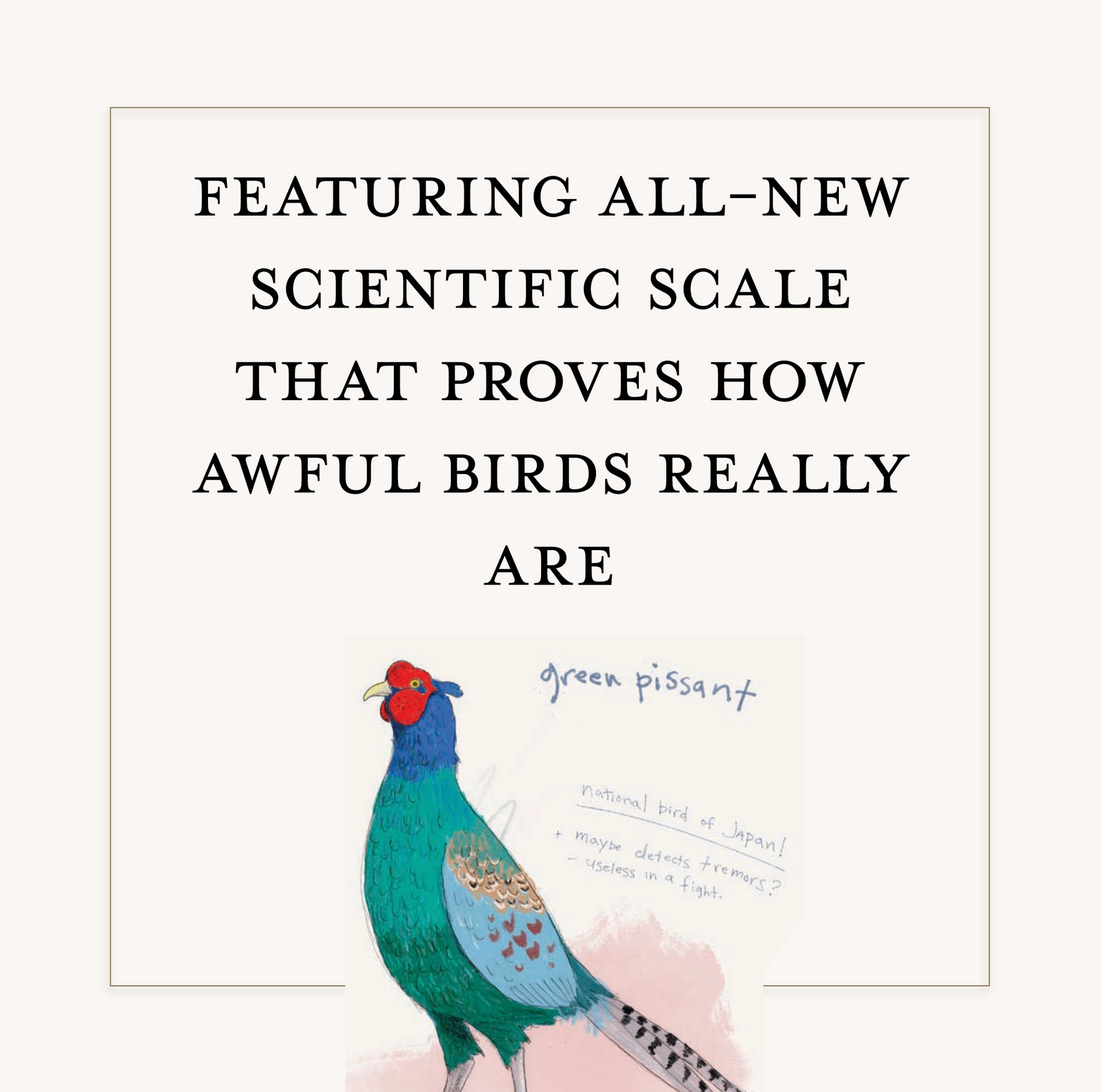Field Guide to the Worst Birds Ever - Heart of the Home Inc