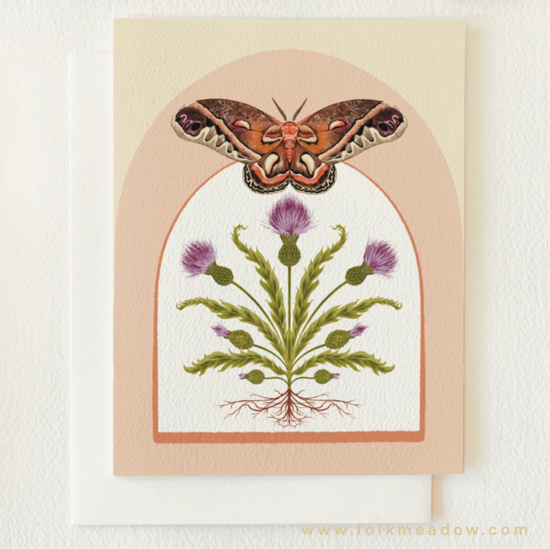 Cecropia Moth & Thistle Blank Card - Heart of the Home Inc