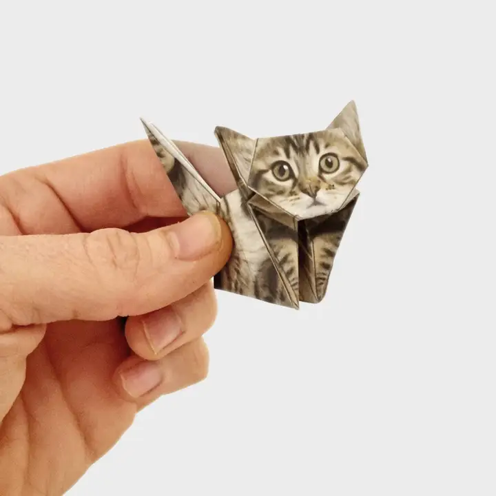 Paper Cats Origami Set - Heart of the Home Inc