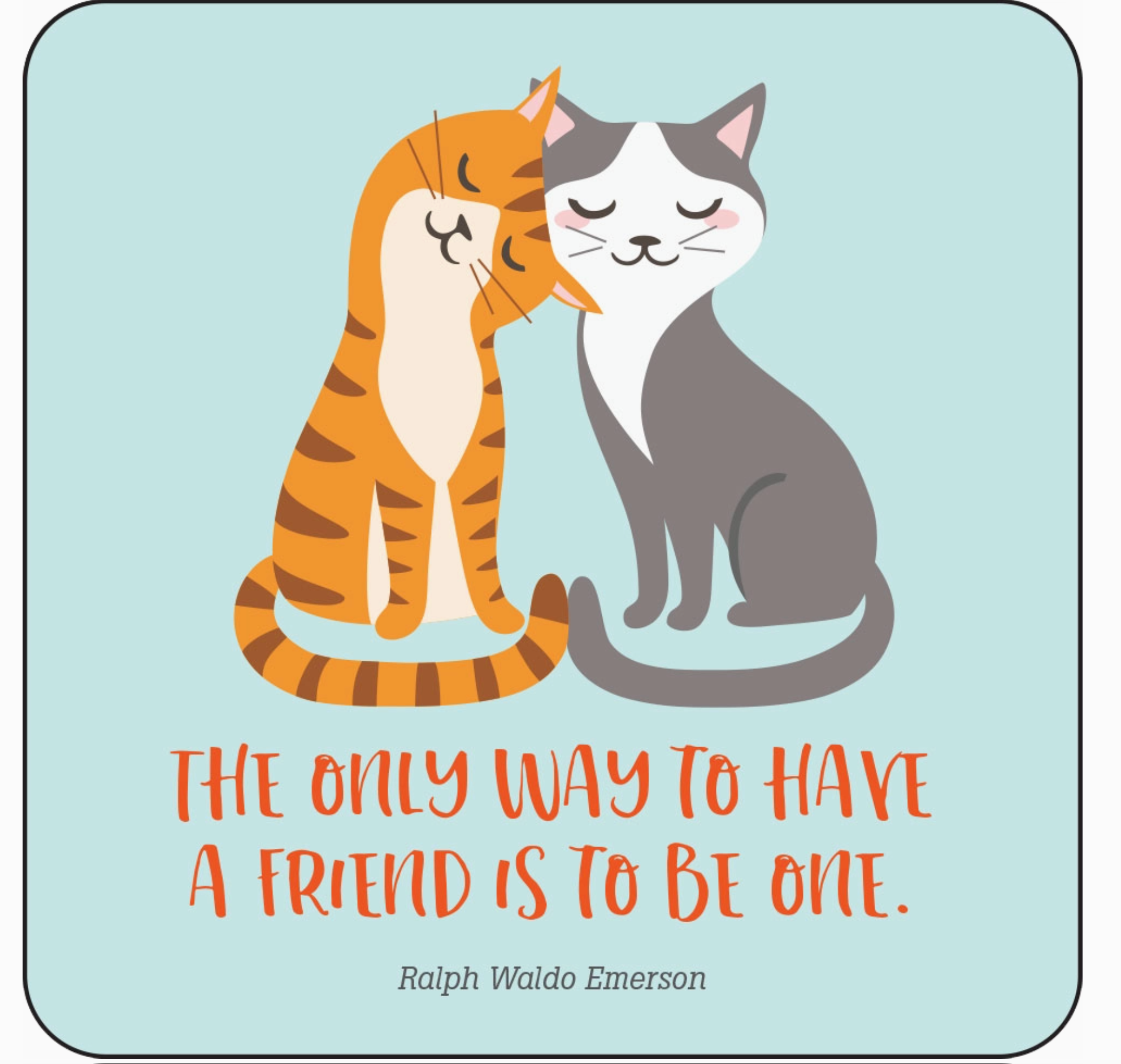 Kindness Lunch Box Notes