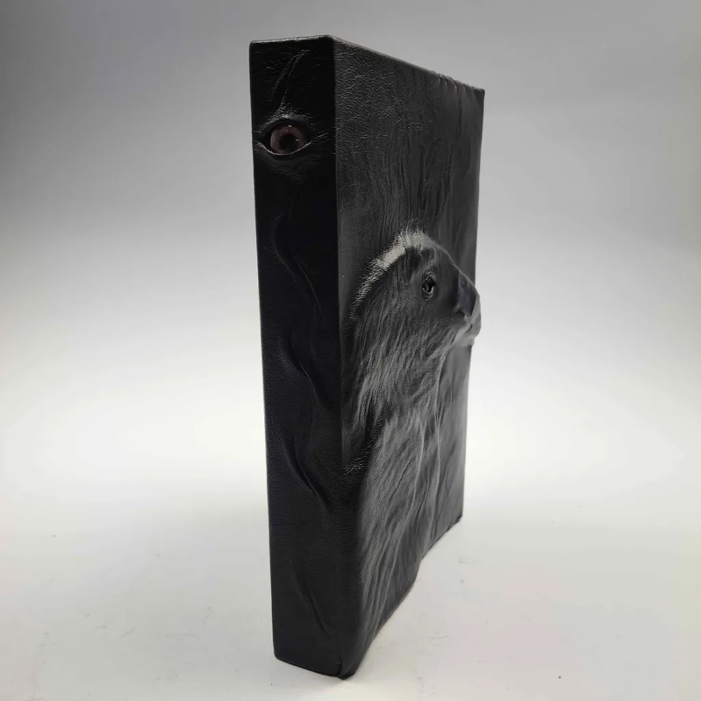 Raven Leather Journal with Eyes