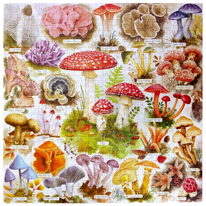 Bountiful Mushrooms 1000 Piece Puzzle - Heart of the Home Inc