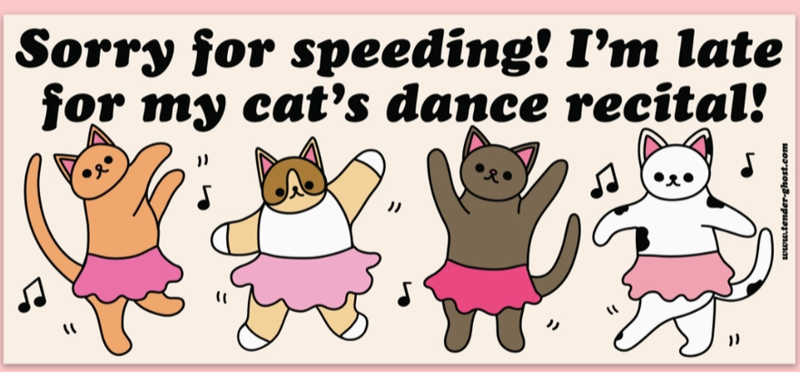 Cat's Dance Recital Bumper Magnet - Heart of the Home Inc