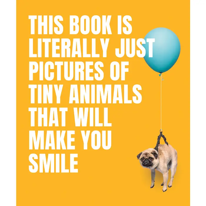 Pictures Of Tiny Animals - Heart of the Home Inc