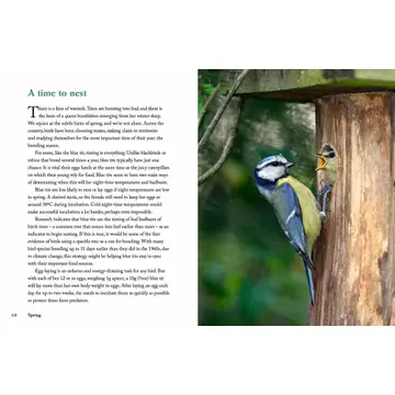 Nature’s Wonders: Moments that Mark the Seasons - Heart of the Home Inc