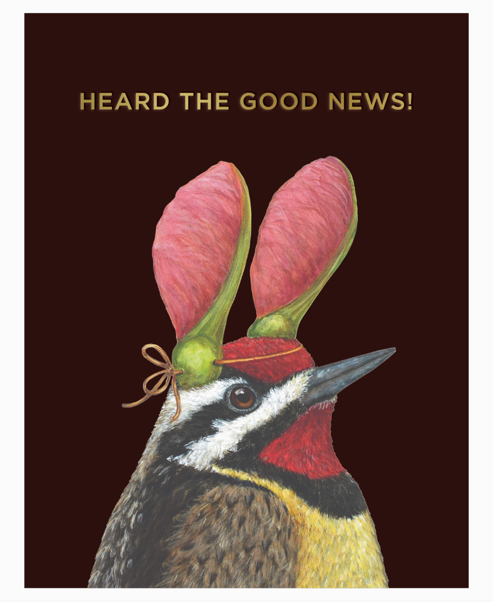 Good News Sapsucker Card - Heart of the Home Inc