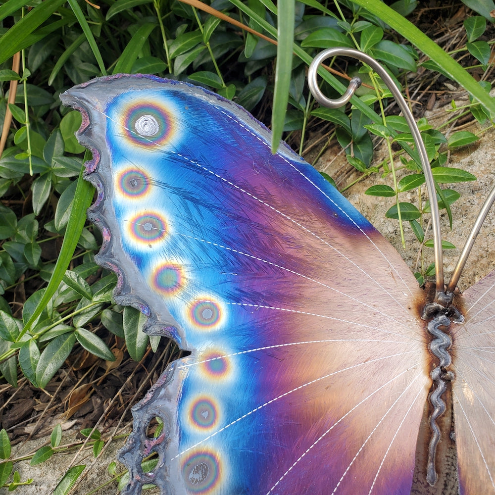 Small Luna Moth Wall Sculpture - Dotted Edge - Heart of the Home PA