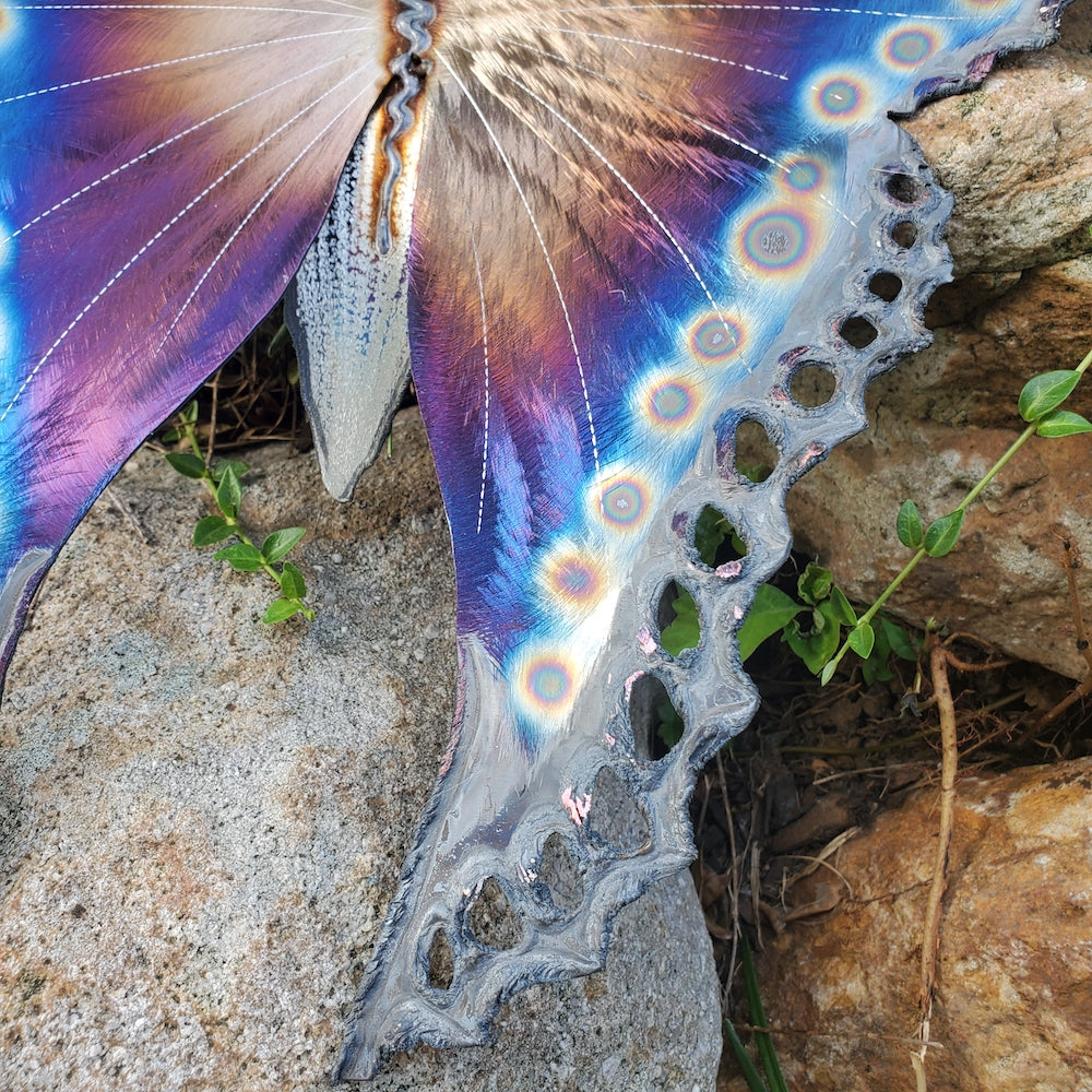 Small Luna Moth Wall Sculpture - Dotted Edge - Heart of the Home PA