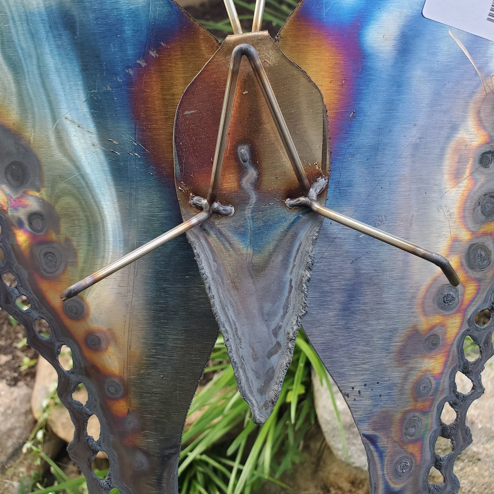 Small Luna Moth Wall Sculpture - Dotted Edge - Heart of the Home PA