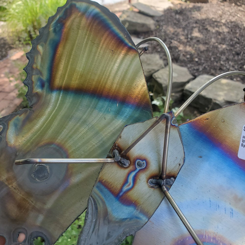 Small Lace Edge Butterfly Wall Sculpture - Lower Eye Spot - Heart of the Home PA