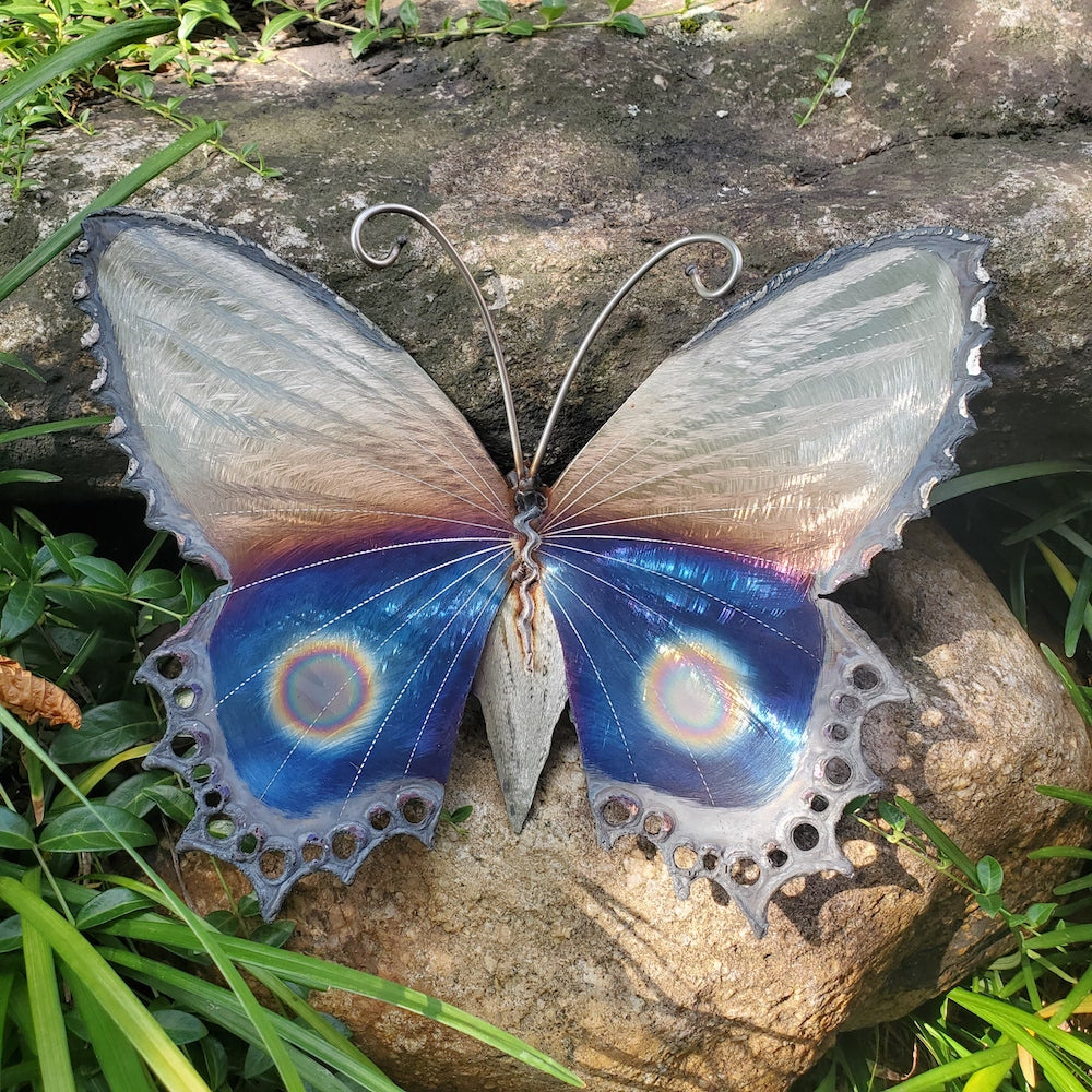 Small Lace Edge Butterfly Wall Sculpture - Lower Eye Spot - Heart of the Home PA